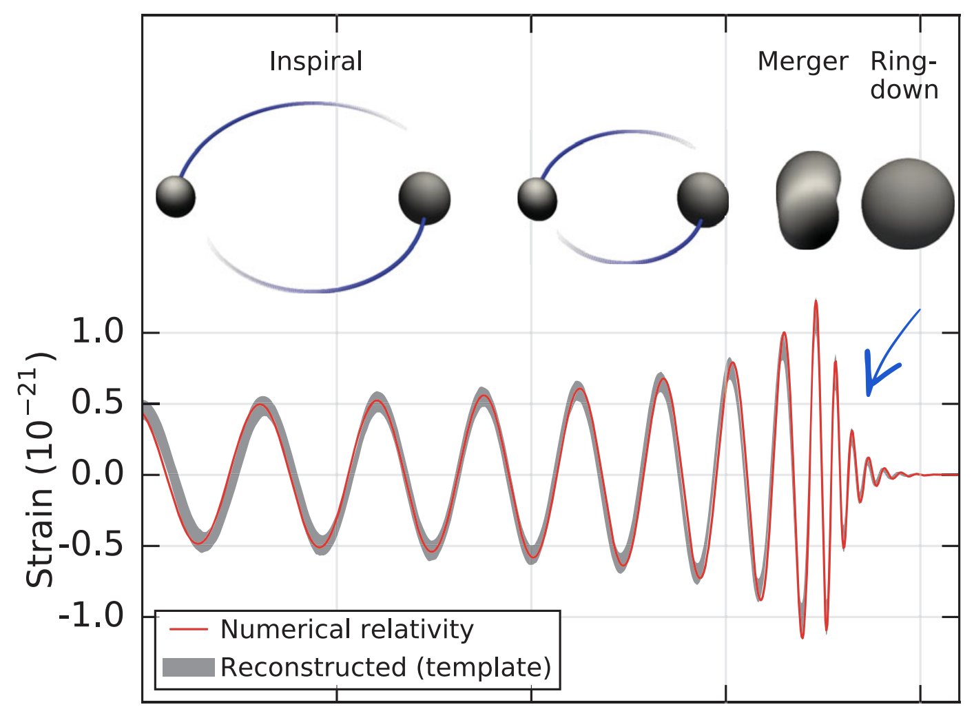 The inspiral, merger, and ringdown of GW150914 [Phys. Rev. Lett. 116, 061102 (2016)].